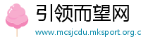 引领而望网